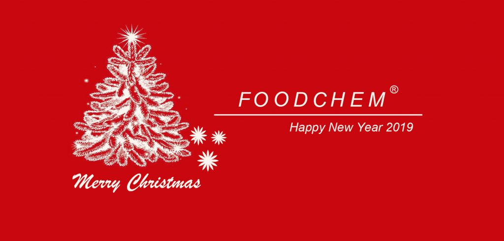 Merry Christmas and New Year 2019