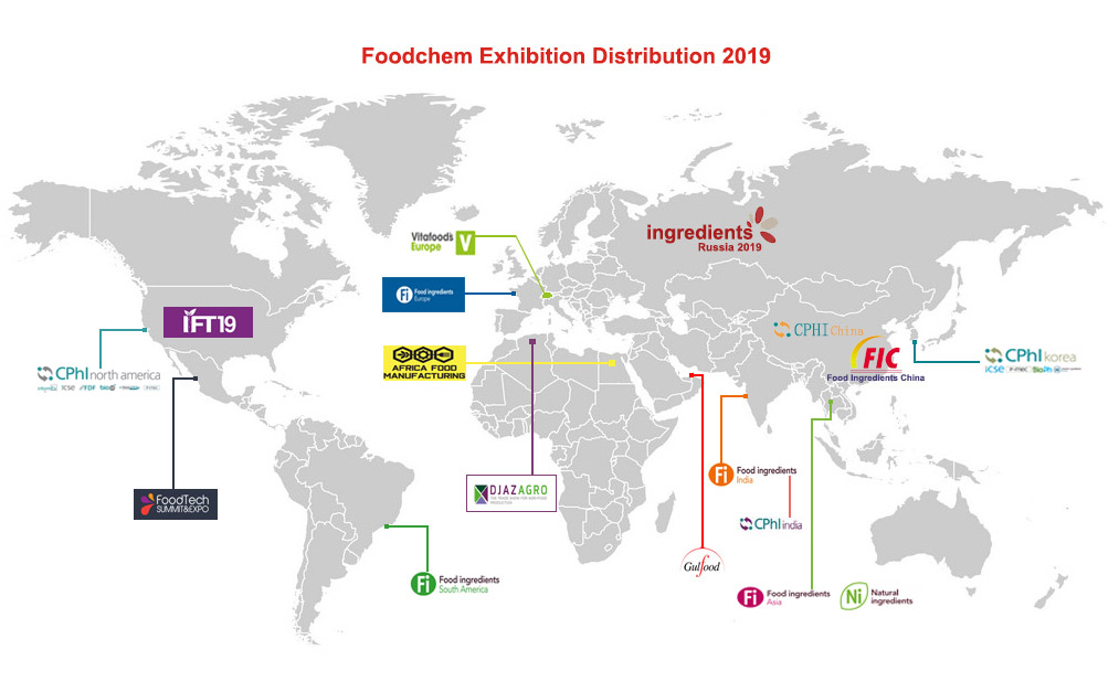 Exhibition 2019