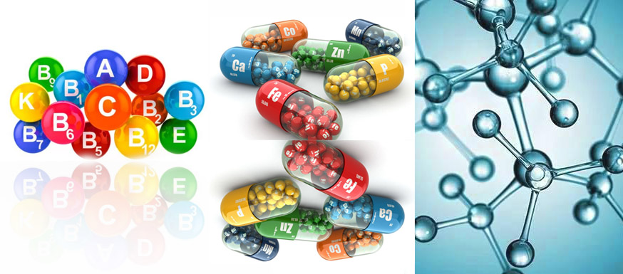 FoodNutri™️ Nutritional Supplements