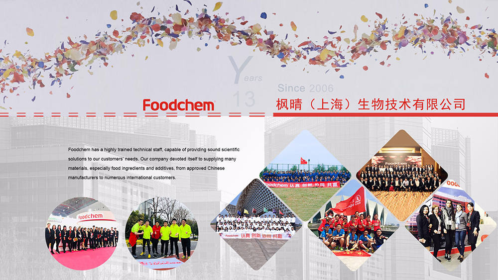 Foodchem International Corporation