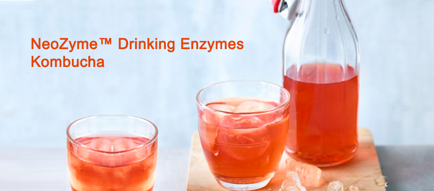 NeoZyme™️ Drinking Enzymes Kombucha