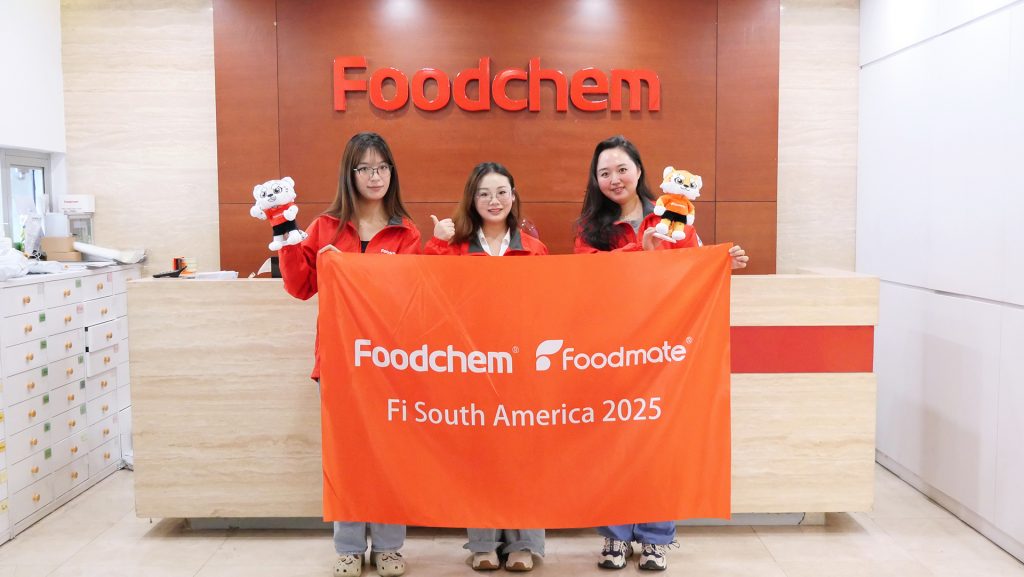 Fi South America 2025