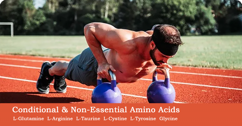 Conditional & Non-Essential Amino Acids