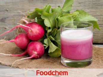 Red Radish Color | Natural Red Food Coloring | Plant-Based Anthocyanin ...