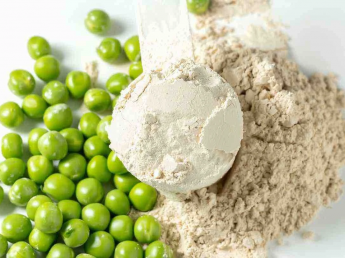 Plant & Functional Protein Solutions