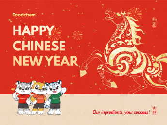 Chinese New Year Holiday