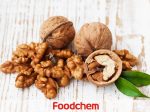 Walnut Protein Peptide